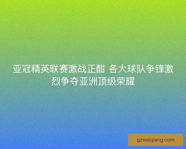 亚冠精英联赛激战正酣 各大球队争锋激烈争夺亚洲顶级荣耀