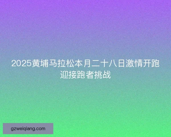 2025黄埔马拉松本月二十八日激情开跑迎接跑者挑战