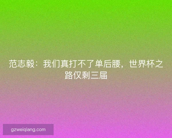 范志毅：我们真打不了单后腰，世界杯之路仅剩三届