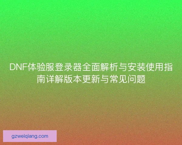 DNF体验服登录器全面解析与安装使用指南详解版本更新与常见问题